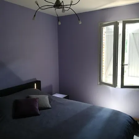 فندق مبيت وإفطار Le Pachot - D'hotes Castelsagrat